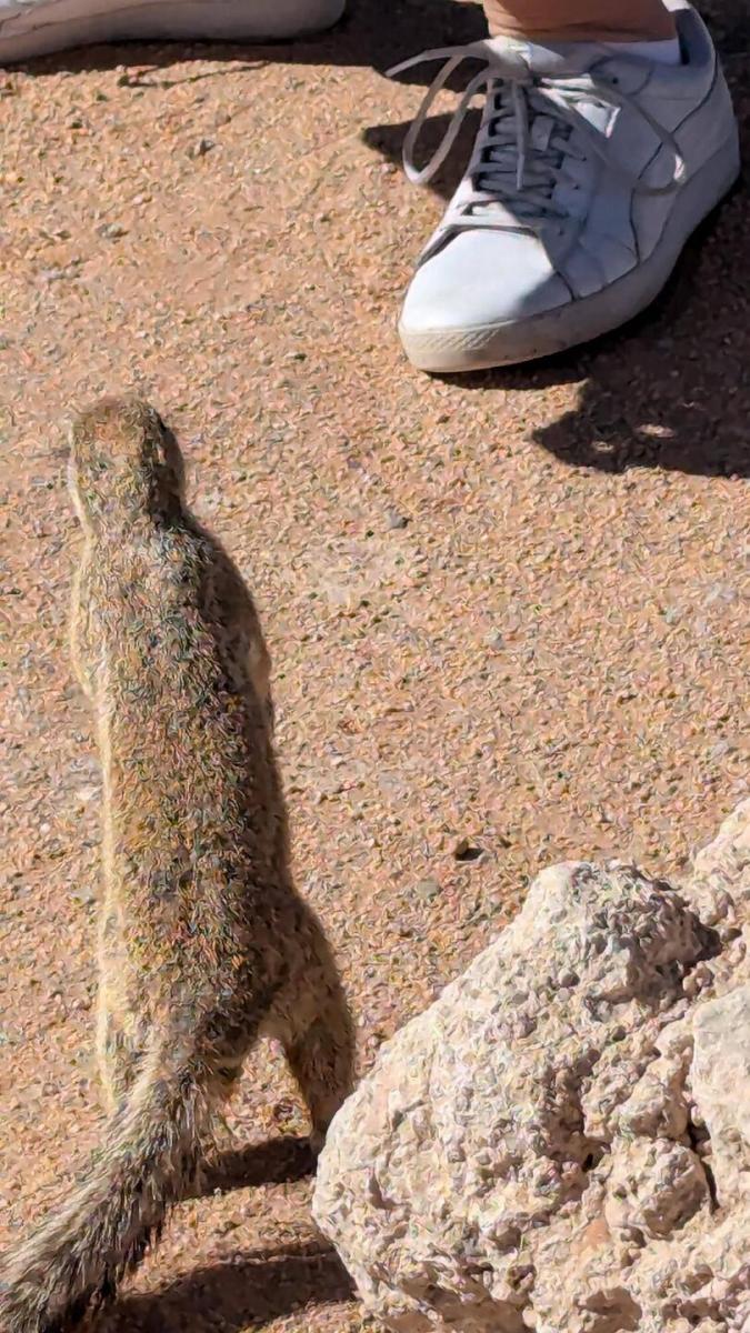 Angst kennt er nicht