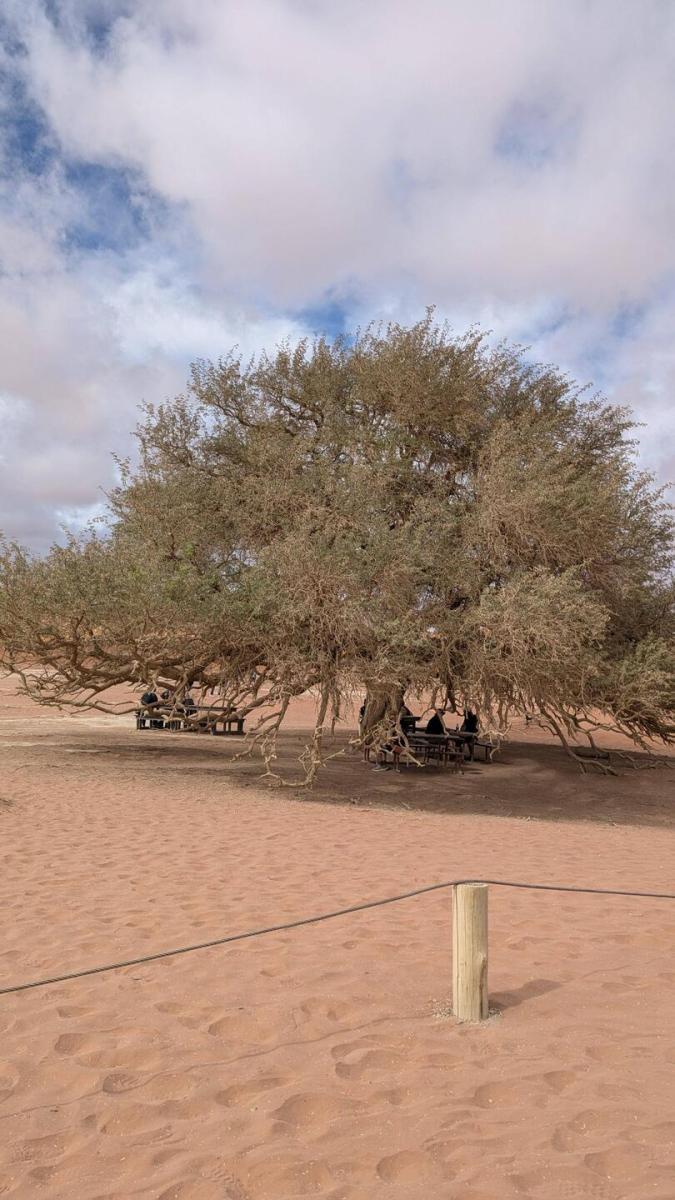 Sossusvlei