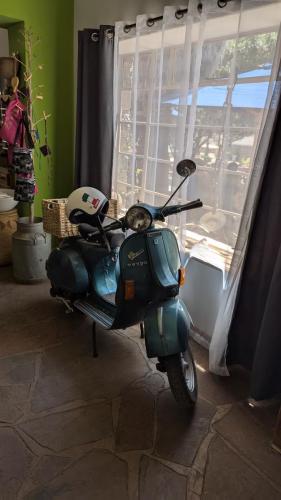 Wo kommt die wohl her